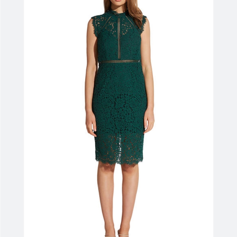 Bardot Lace Panel High-Neck Knee-Length Dress